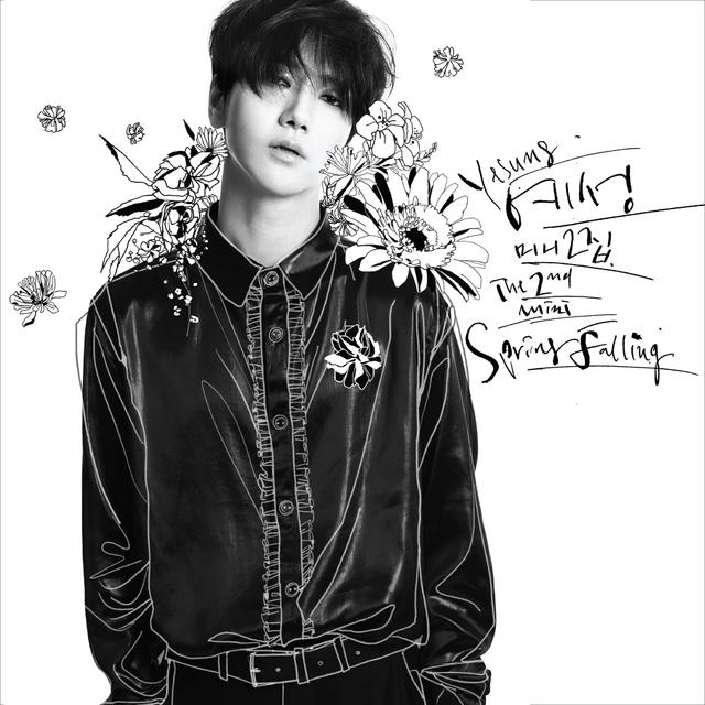 Album cover art for Spring Falling