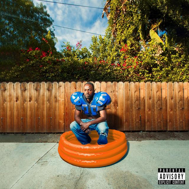 Album cover art for Swim