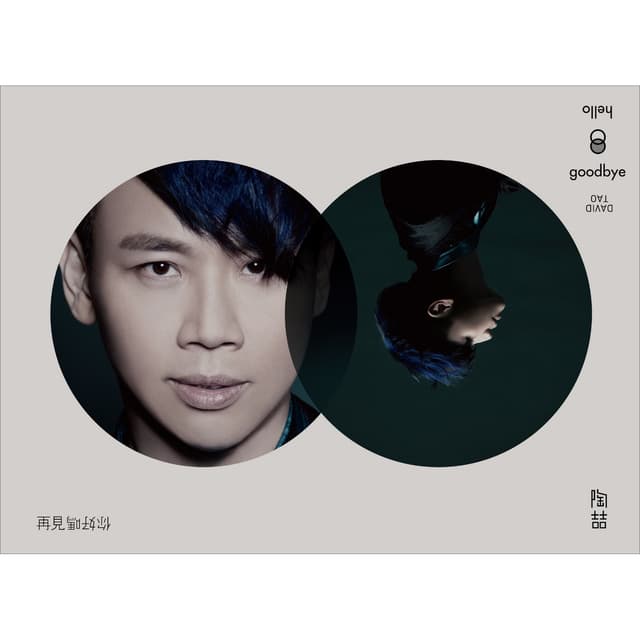 Album cover art for 再見你好嗎