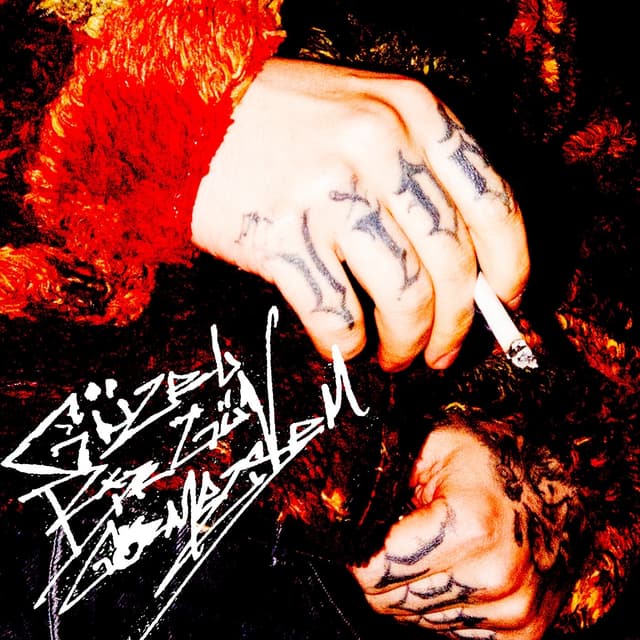 Album cover art for Güzel Bir Gün Görmezsem