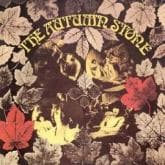 Album cover art for The Autumn Stone