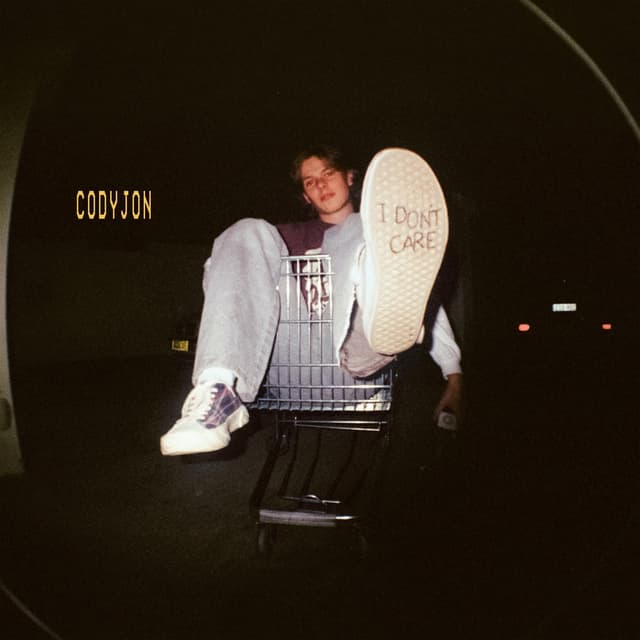 Album cover art for I DON'T CARE
