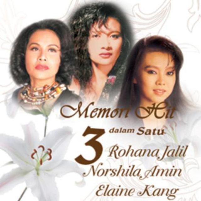 Album cover art for Memori Hit 3 Dalam 1