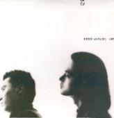 Album cover art for 復黑王: 石頭記