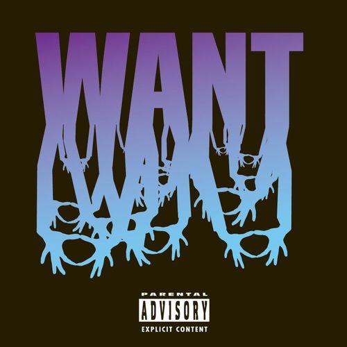 Album cover art for WANT