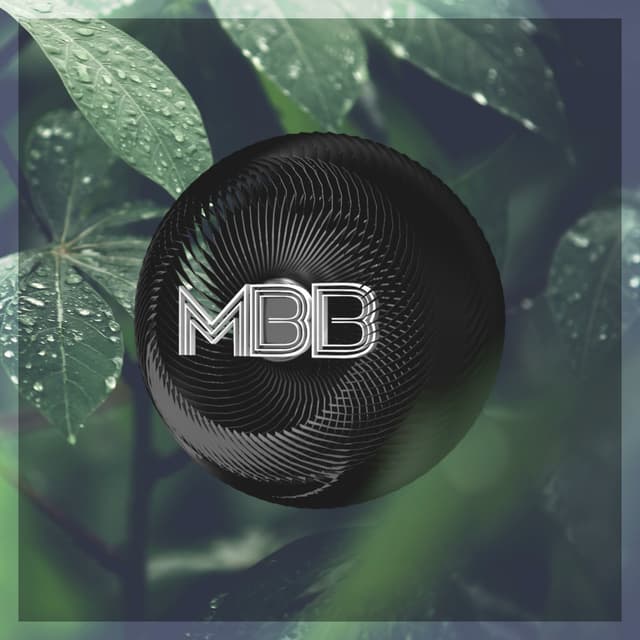 Album cover art for Fresh