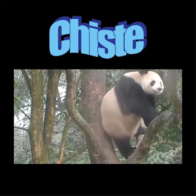 Album cover art for Chiste