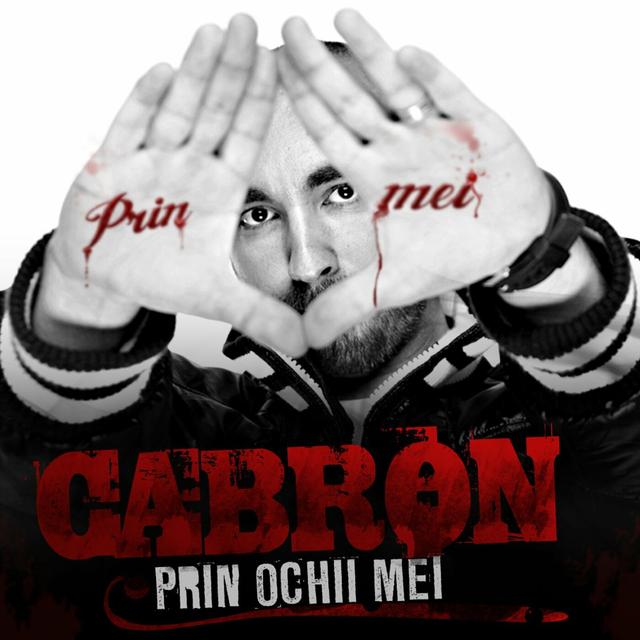 Album cover art for Prin ochii mei