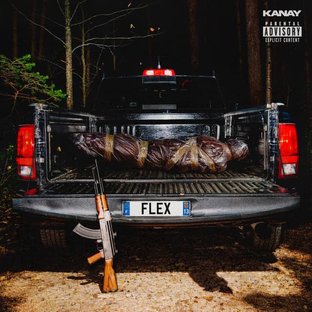 Album cover art for Flex