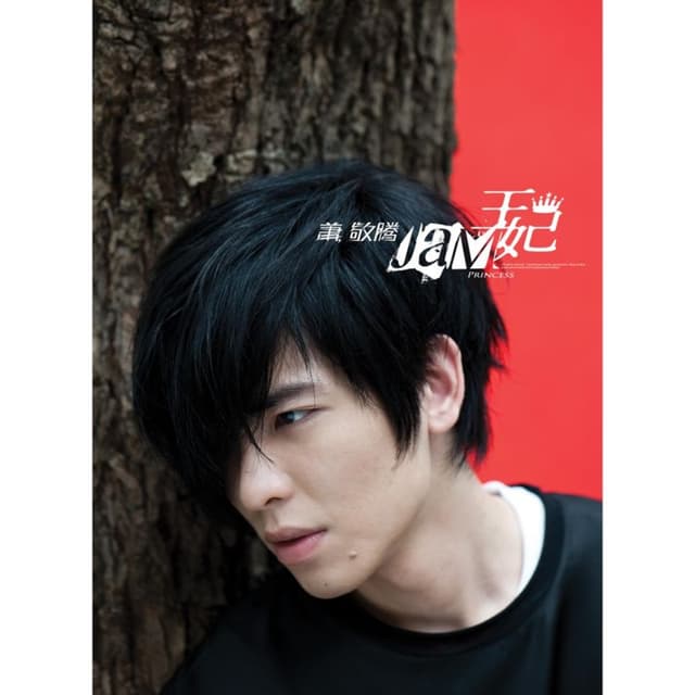 Album cover art for Princess