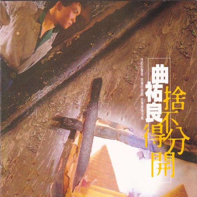 Album cover art for 捨不得分開