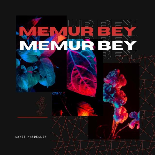 Album cover art for Memur Bey