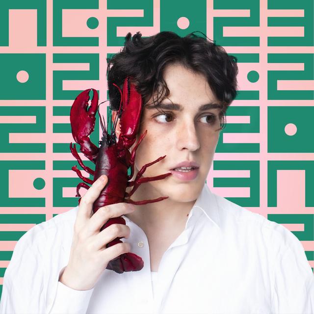 Album cover art for Samo mi se spava