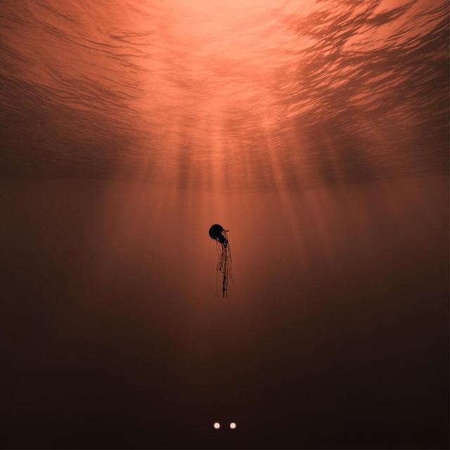 Album cover art for SURFACE