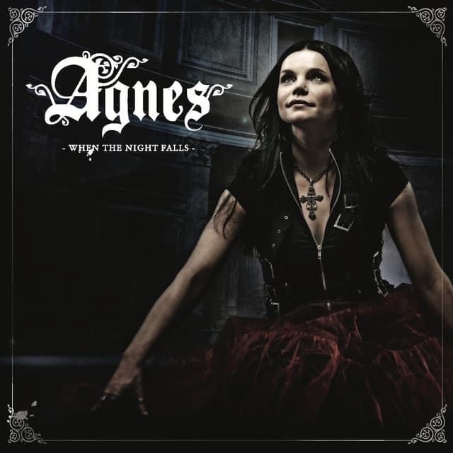 Album cover art for When the Night Falls