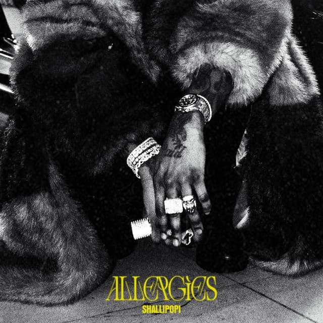 Album cover art for Allergies