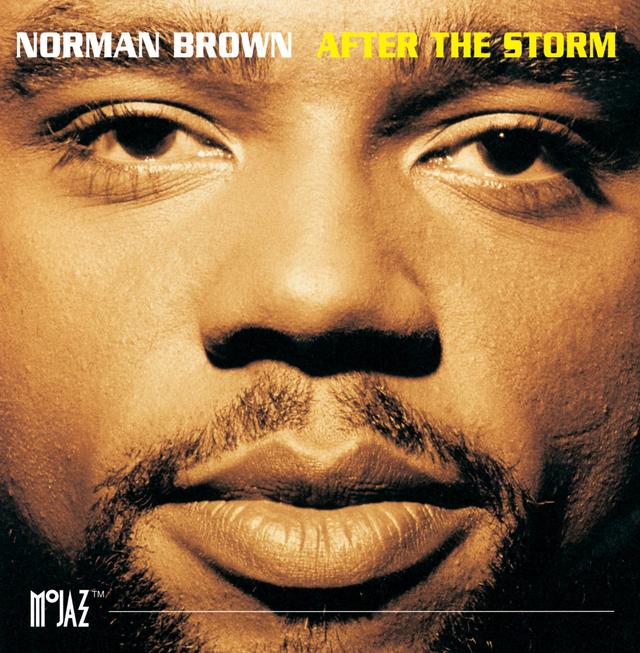 Album cover art for After The Storm