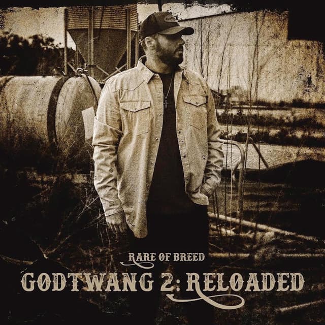 Album cover art for Godtwang 2: Reloaded