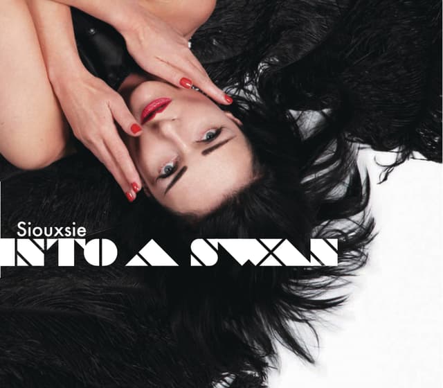 Album cover art for Into A Swan