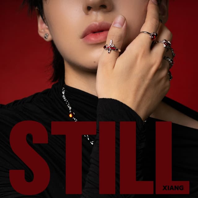 Album cover art for Still