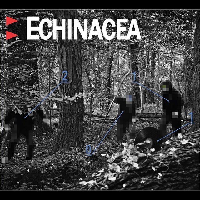 Album cover art for Echinacea