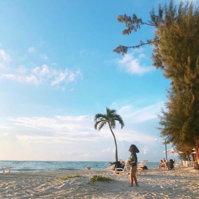 Album cover art for Pastel