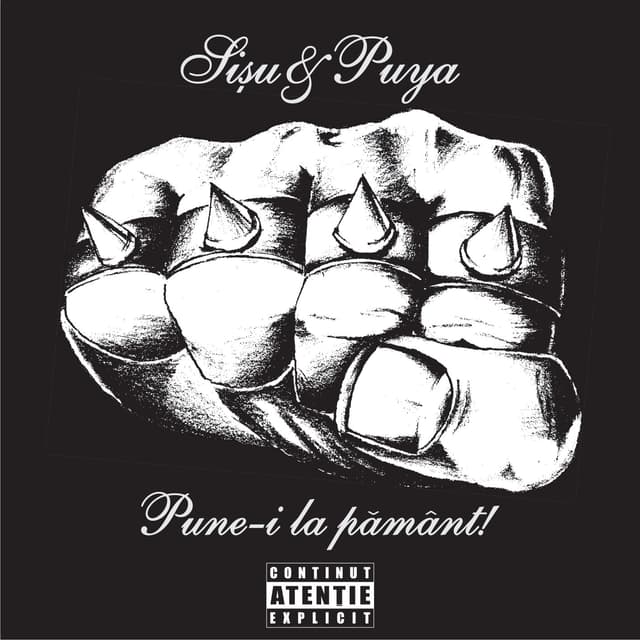 Album cover art for Pune-i La Pamant!