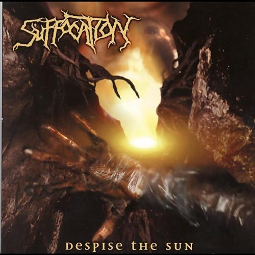 Album cover art for Despise the Sun