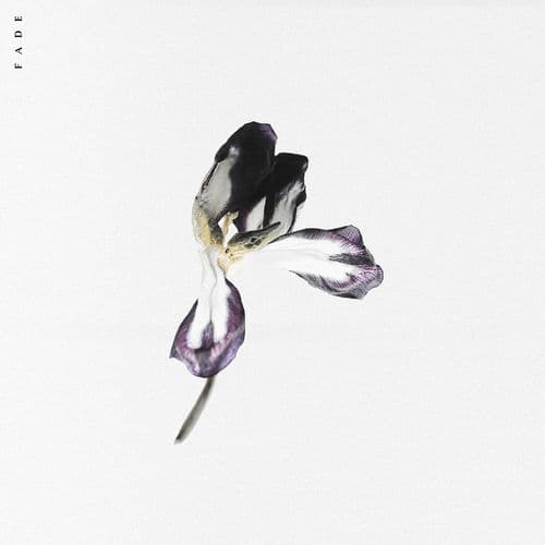Album cover art for Fade