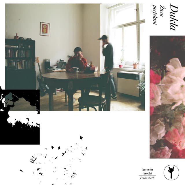 Album cover art for Život perfektní