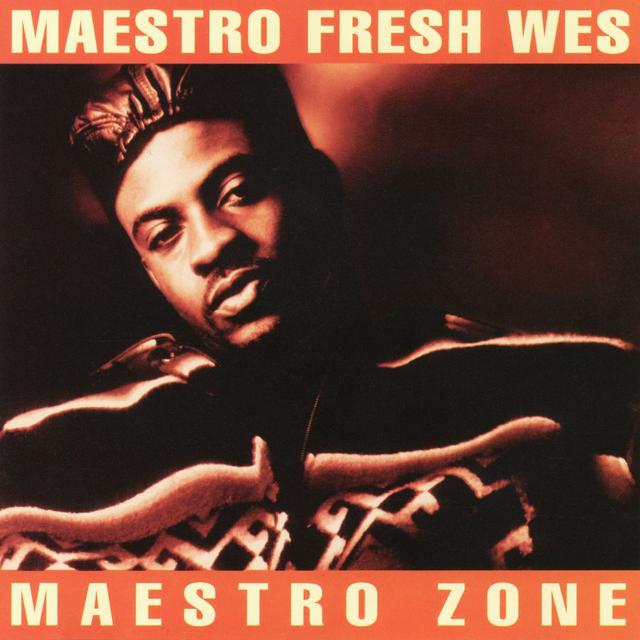 Album cover art for Maestro Zone