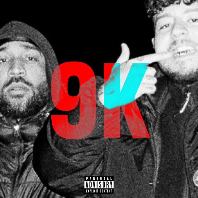 Album cover art for 9K