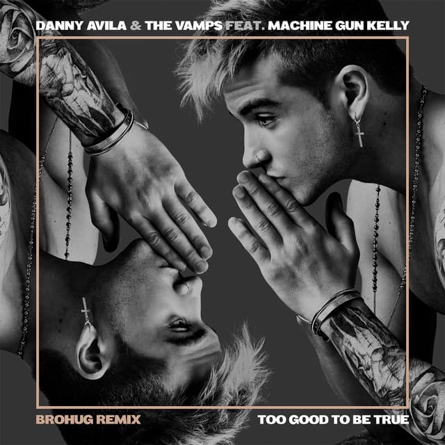 Album cover art for Too Good to Be True (Brohug Remix)