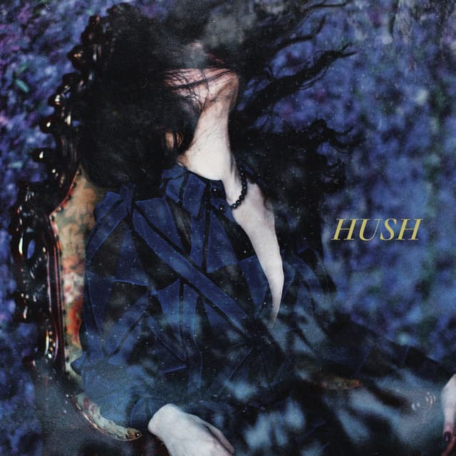 Album cover art for Hush