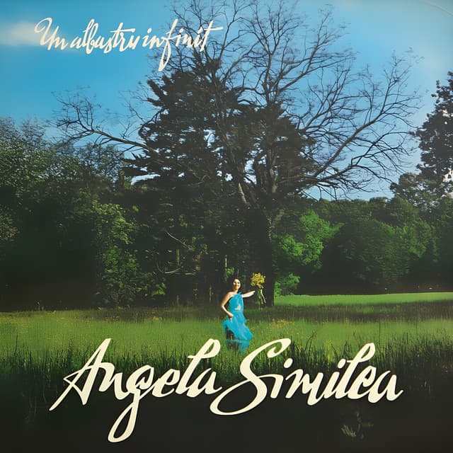 Album cover art for Un Albastru Infinit