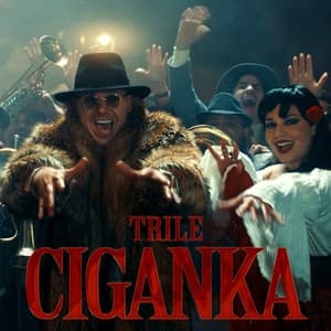 Album cover art for Ciganka