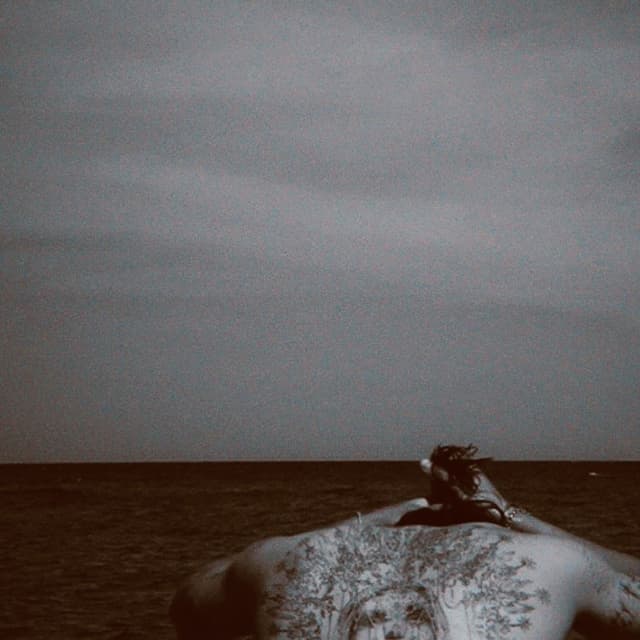 Album cover art for Ce te-ai face tu