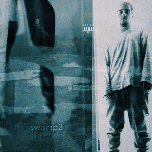 Album cover art for SWAMP2