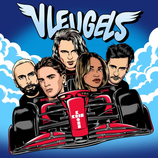 Album cover art for Vleugels