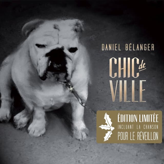Album cover art for Chic de Ville
