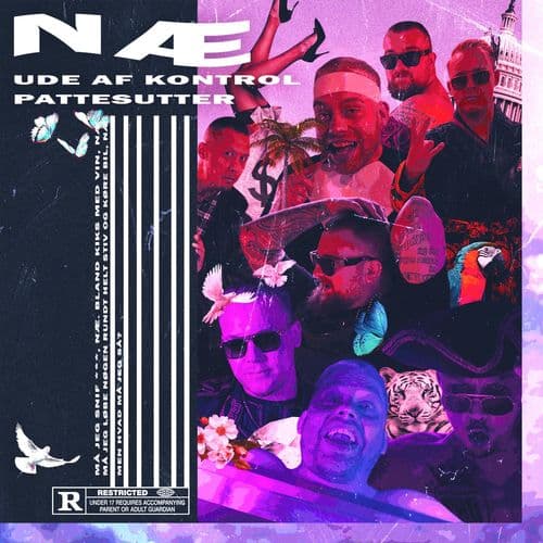 Album cover art for Næ