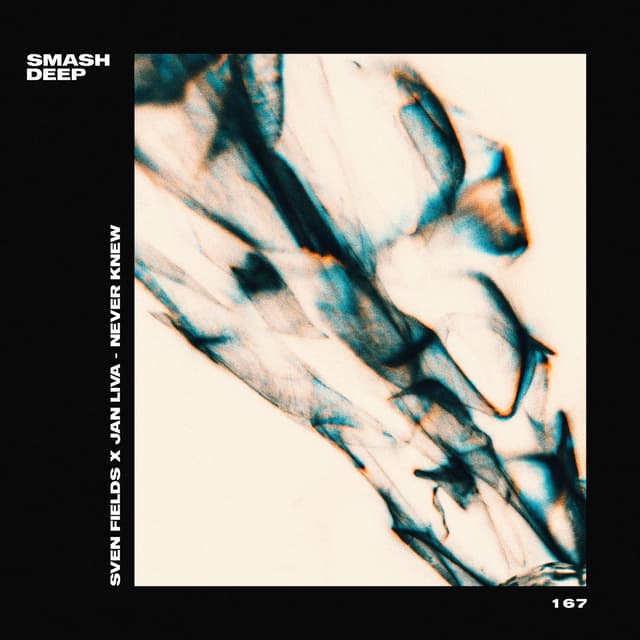 Album cover art for Never Knew