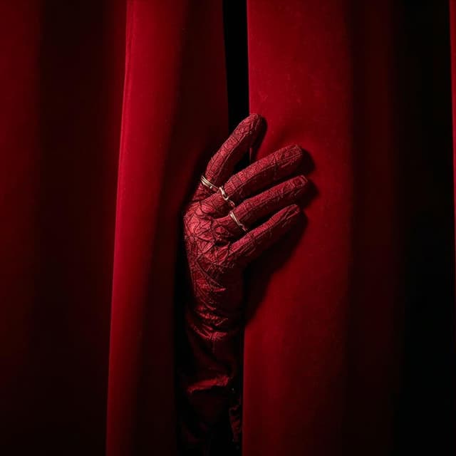 Album cover art for VELVET CHAINS