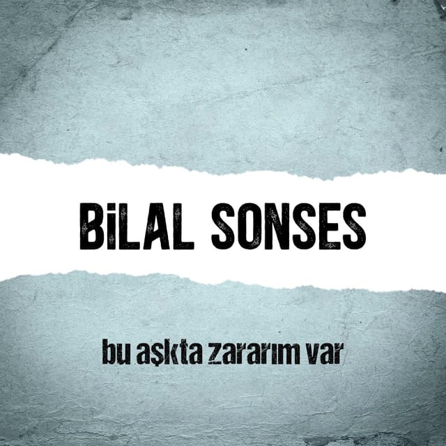 Album cover art for Bu Aşkta Zararım Var