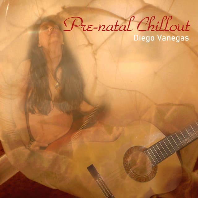 Album cover art for Pre-Natal Chillout