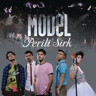 Album cover art for Perili Sirk