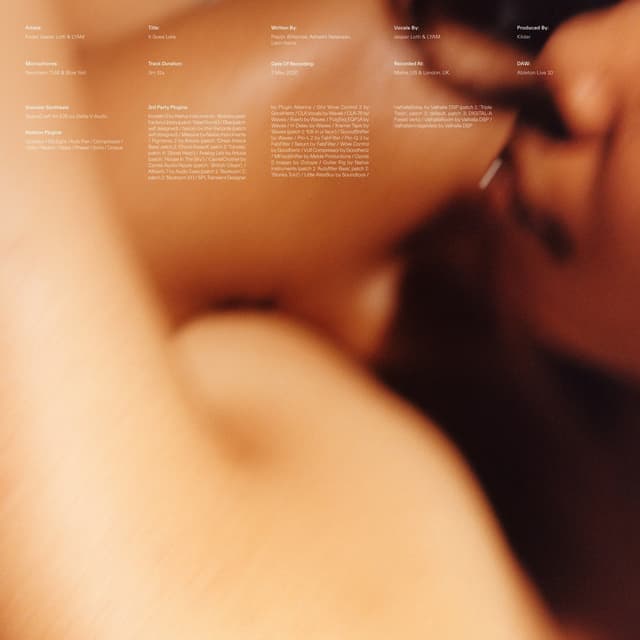 Album cover art for It Goes Lyke