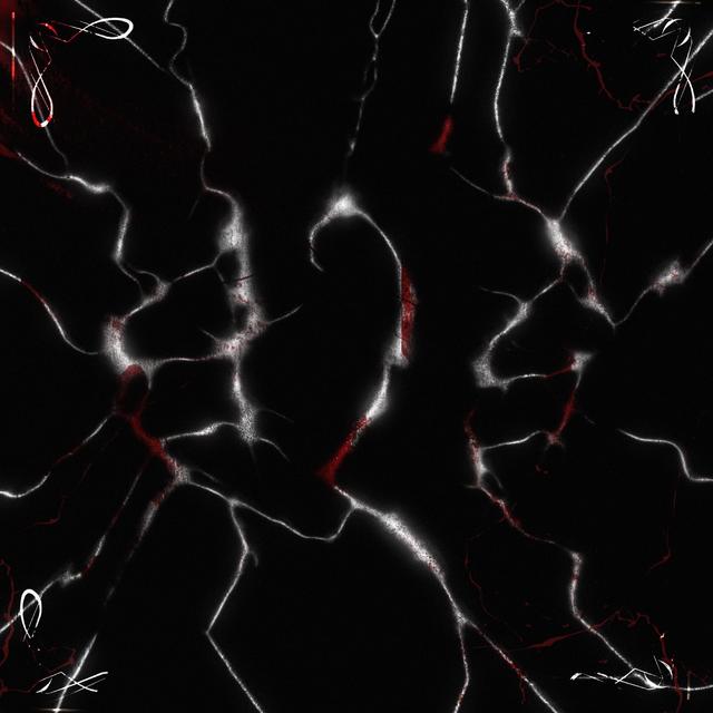 Album cover art for B2S