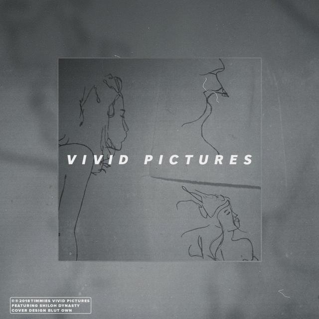 Album cover art for Vivid Pictures