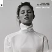 Album cover art for Hold That Sucker Down
